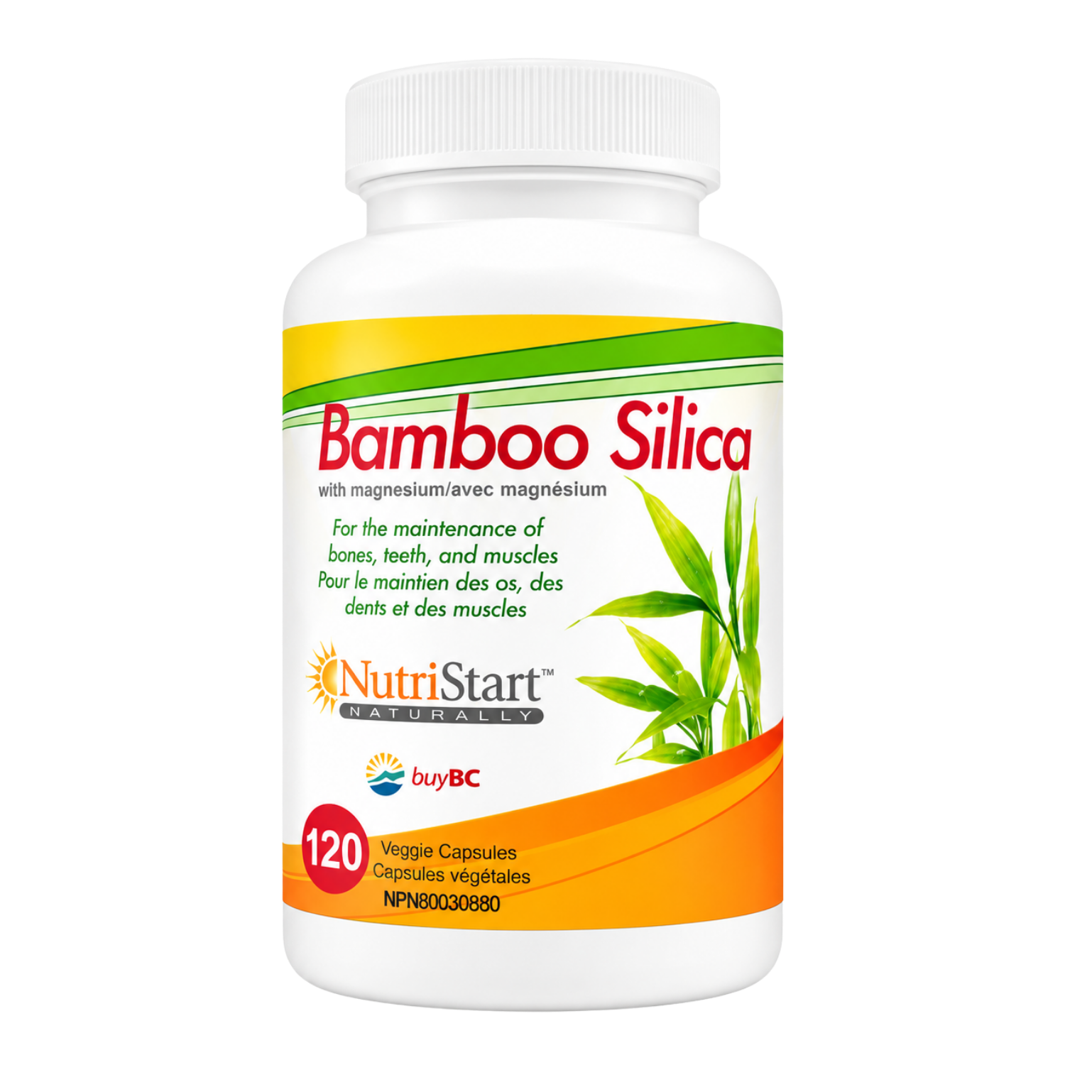 Bamboo Silica