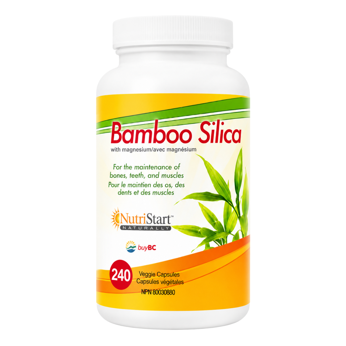 Bamboo Silica