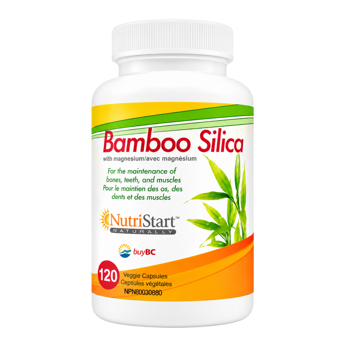 Bamboo Silica