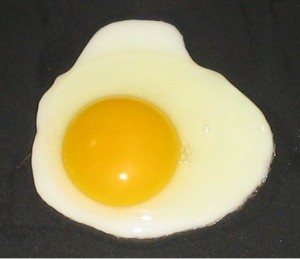 cholesterol egg