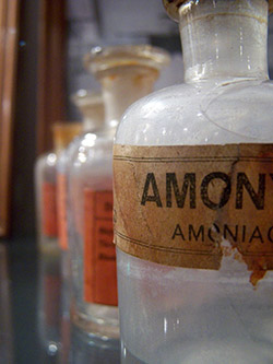 Ammonia toxicity