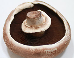 mushrooms 40 IU vitamin D